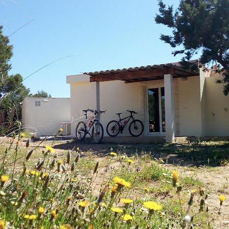 La Casita Yolanda, Ideal Parejas - Formentera Natural Sant Ferran de Ses Roques Bagian luar foto